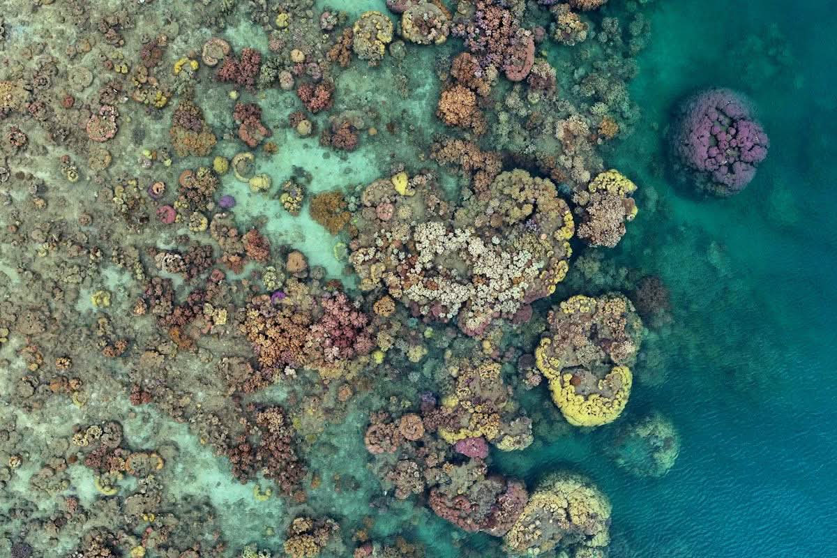 Coral formations of the Great Barrier Reef seen from directly above