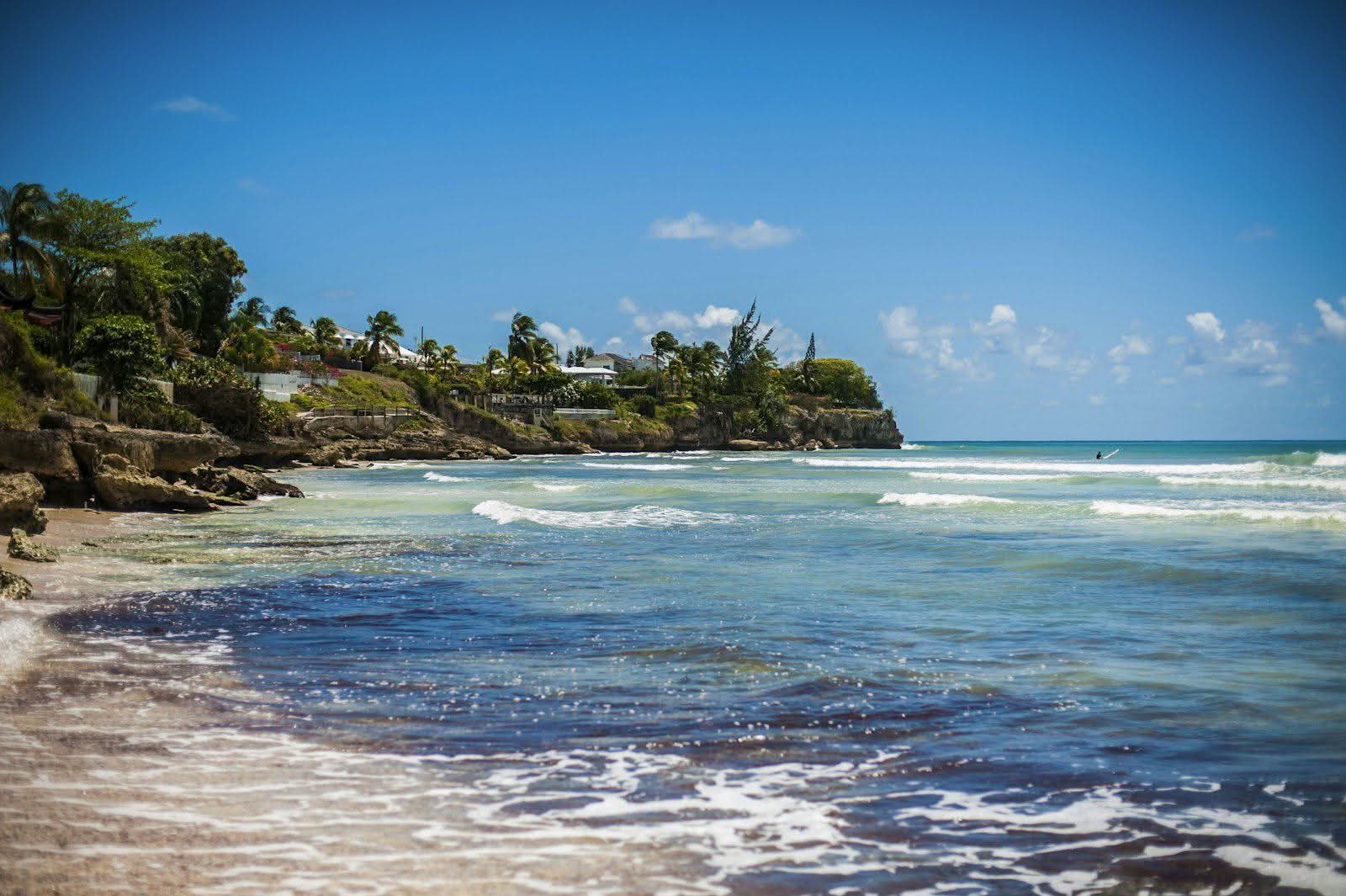 Barbados — Turtle swims & rum's birthplace