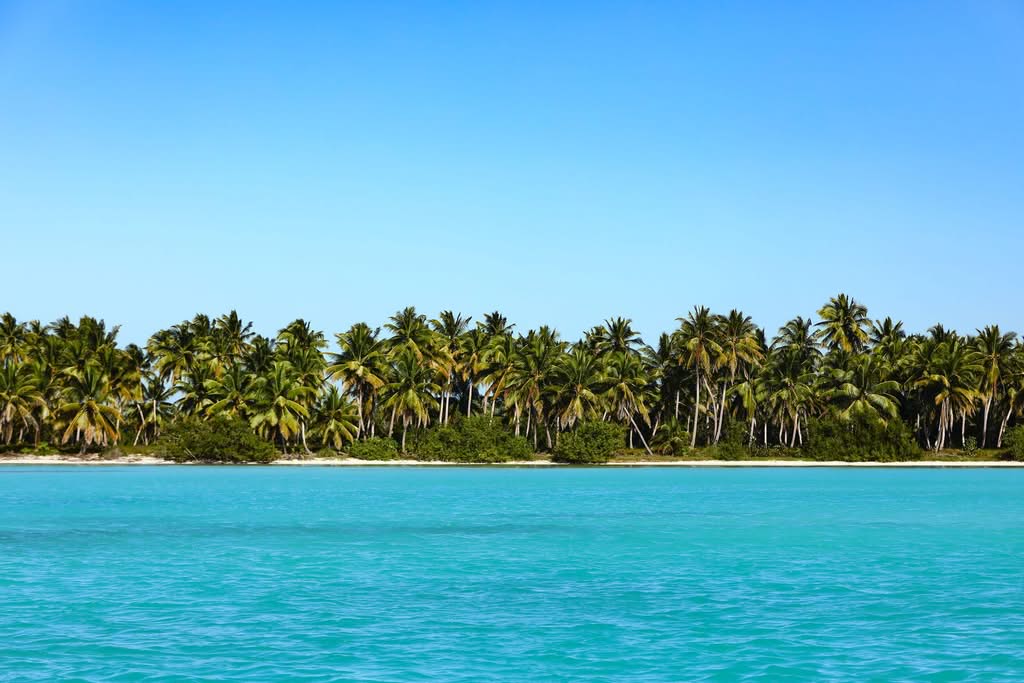 A breathtaking view of a tropical island with lush palm trees lining the turquoise ocean waters, ideal for a serene vacation