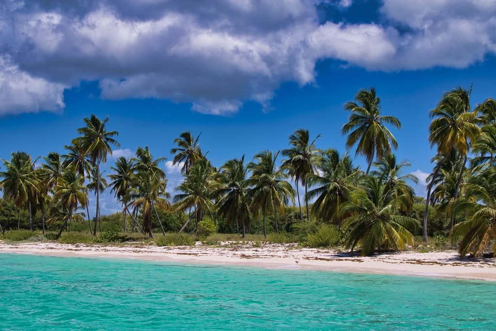 Stunning tropical beach with palm trees and turquoise waters under a vibrant sky