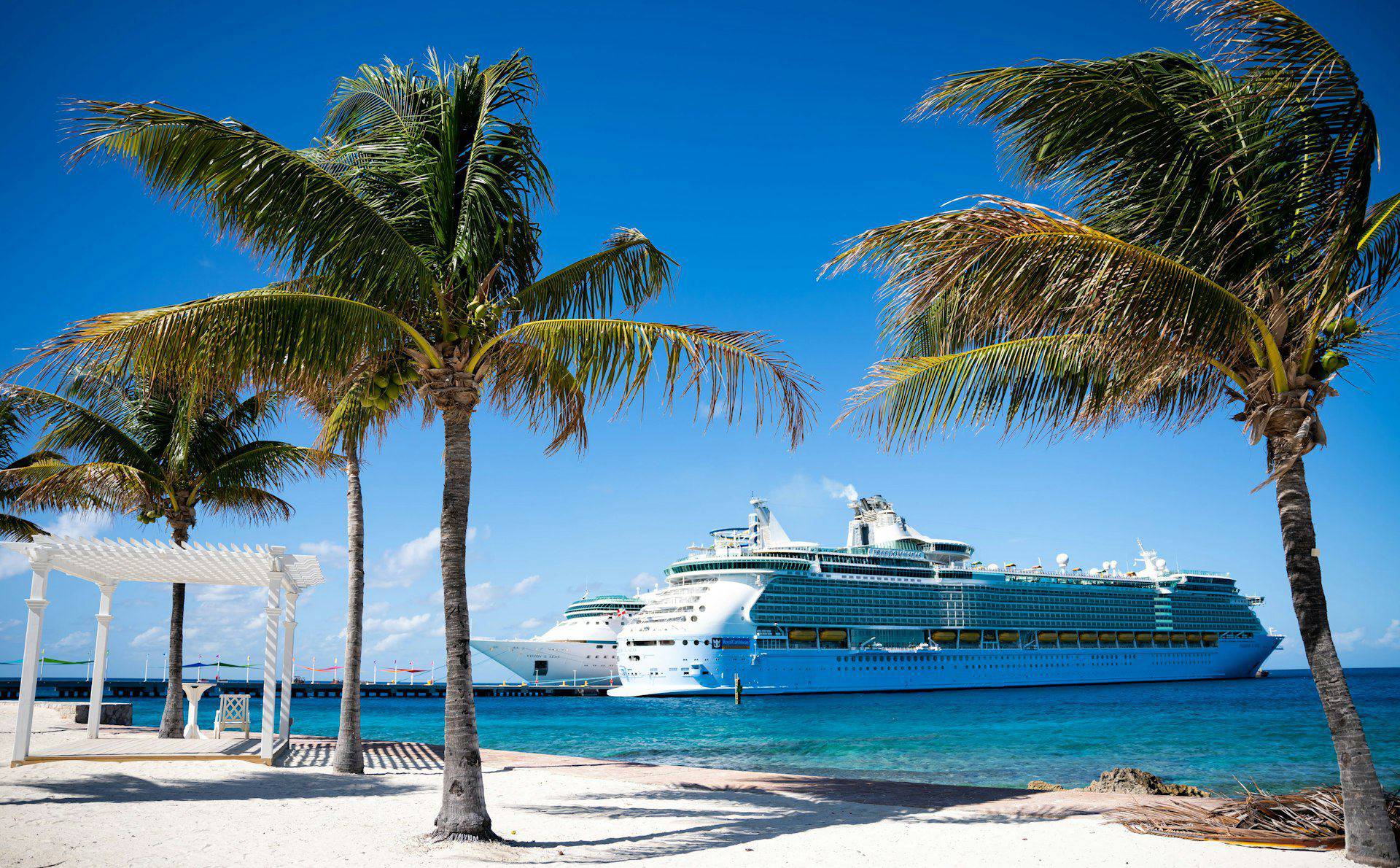 Cruise ship at a tropical beach framed by palm trees