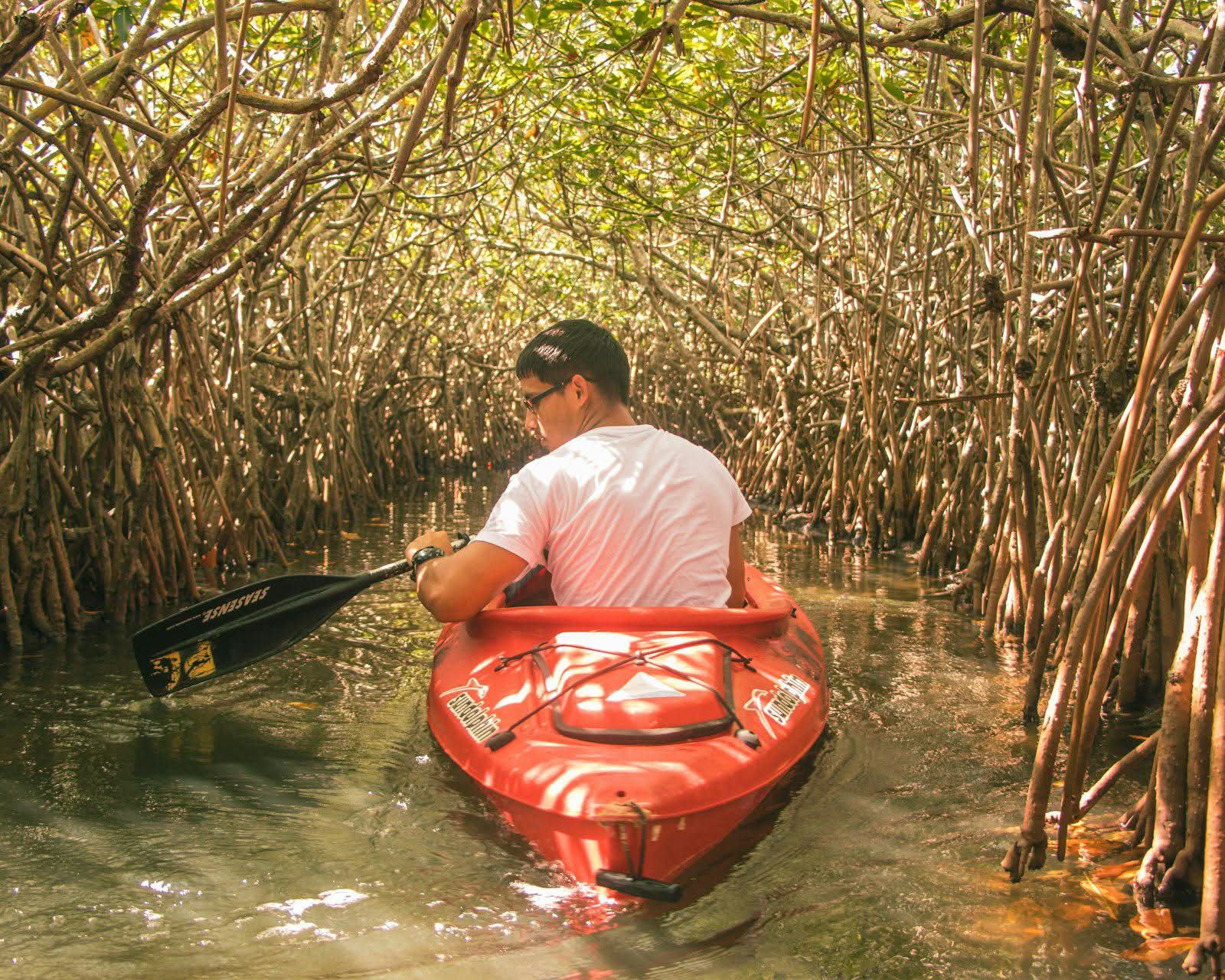 Paddler on a jungle river beneath dense green canopy in Belize