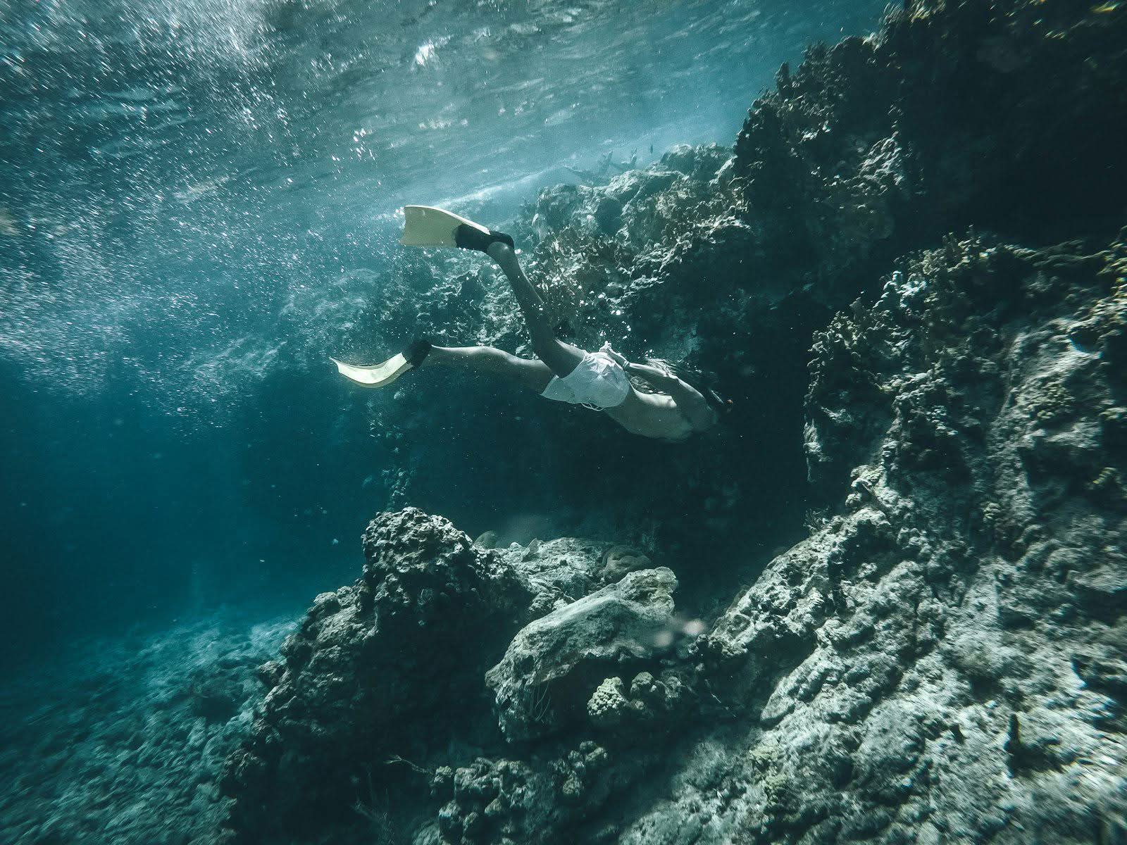 Roatán — Reef snorkeling & sloths